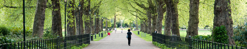 Things to do in Battersea Things to do in Battersea
