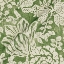 V&A Brompton Collection - Flowering Kale: Basil