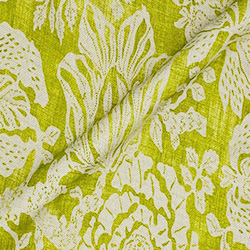 V&A Brompton Collection - Flowering Kale: Lime