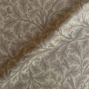 V&A Drawn From Nature - Oak Tree: Natural