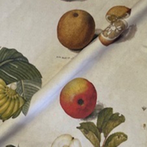 V&A Drawn From Nature - All Over Botanical Collage: Market Garden