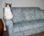 Customer Photos: Petworth 2 Seater Sofa in William Morris Bramble Mineral Slate