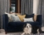 Customer Photos: Haresfield 3 Seater Straight Arm Sofa in Haresfield 3 Seater Straight Arm Sofa in Traditional Vintage Velvet Navy