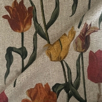 RHS Botanicals - Pieter van Kouwenhoorn Tulips: Natural