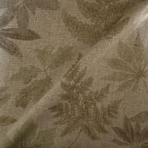 RHS Botanicals - Foliage: Sage