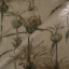 RHS Botanicals -Fabric Henry Moon Lions Tail: Oatmeal