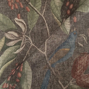 RHS Botanicals - Mark Catesby Grosbeak: Bark