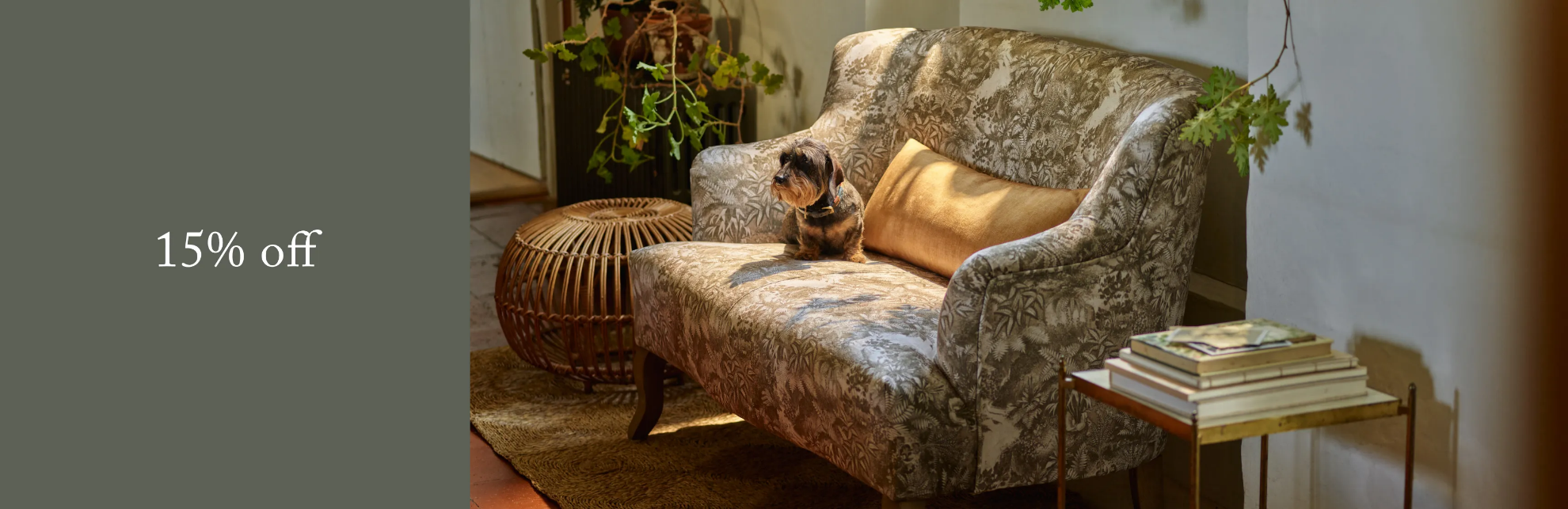 Sofas and Stuff
