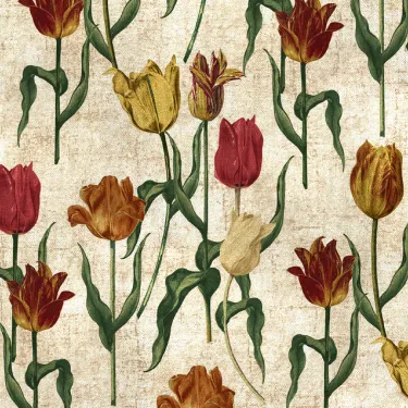 RHS Botanicals on Velvet - Pieter van Kouwenhoorn Tulips: Natural