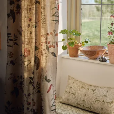 RHS Collection - Caroline Maria Applebee Collage: Wildflowers