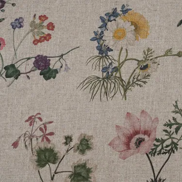 RHS Collection - Caroline Maria Applebee Collage: Wildflowers