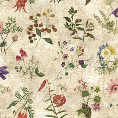 RHS Collection on Velvet - Caroline Maria Applebee Collage: Wildflowers