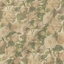 	Exclusive Fabric RHS Etta's Bouquet All Over: Alba