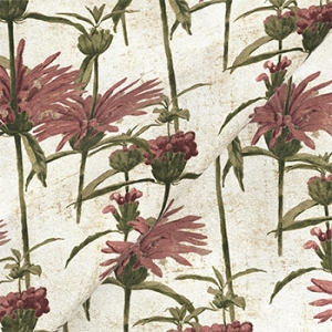 Exclusive Fabric RHS Botanicals on Velvet - Henry Moon Lion's Tail: Rose
