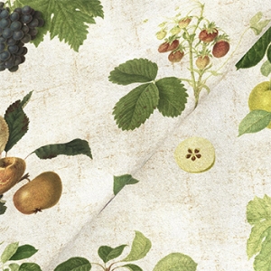 Exclusive Fabric RHS Collection on Velvet - William Hooker Design: Fruit