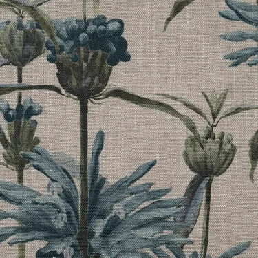 RHS Botanicals - Henry Moon Lions Tail: Teal