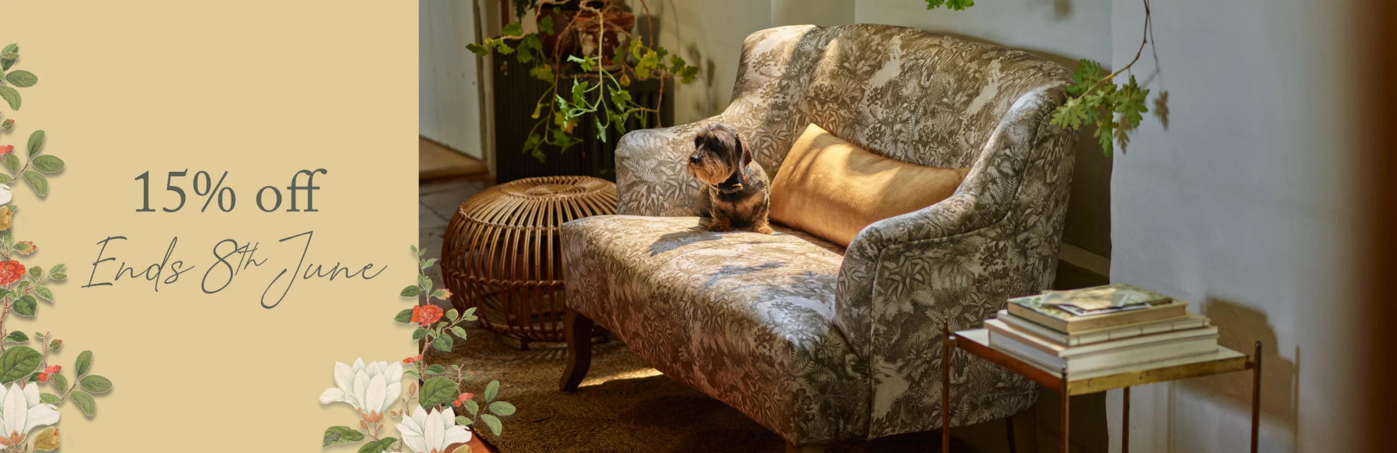Sofas and Stuff