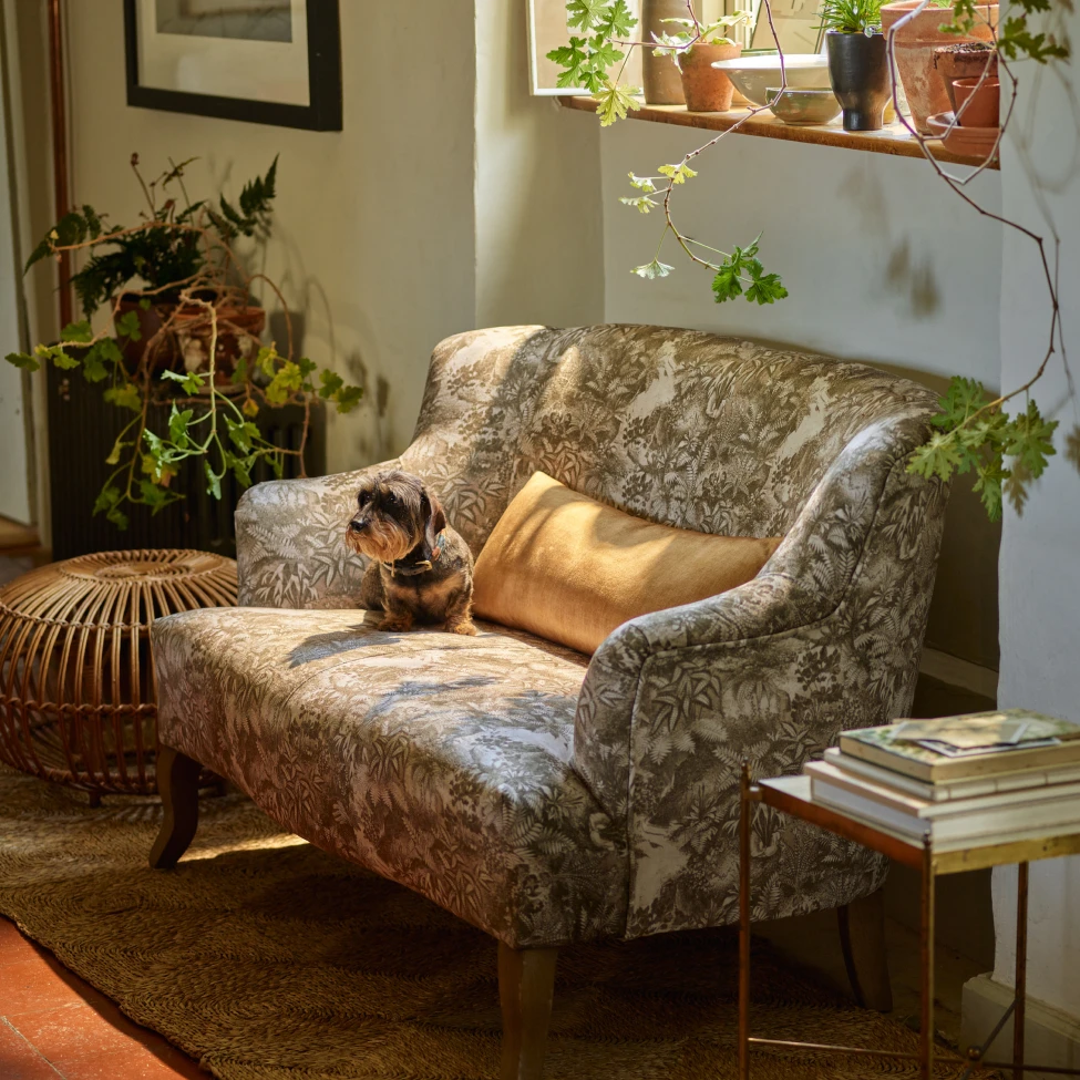 Sofas and Stuff