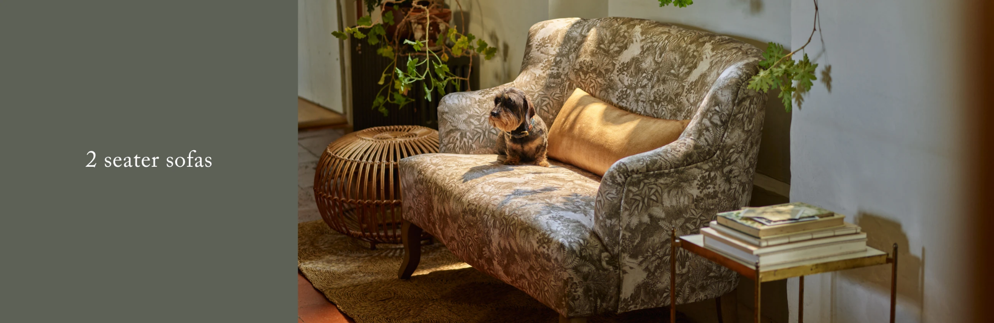 Sofas and Stuff