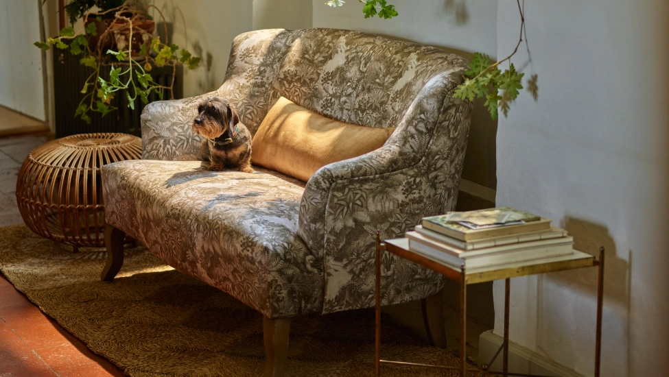 Sofas and Stuff