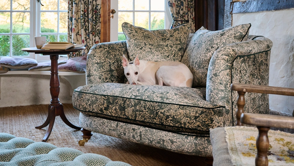 Sofas and Stuff