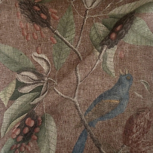 Spill Resistant RHS Mark Catesby Grosbeak: Terracotta