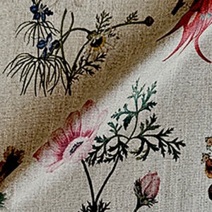 Spill Resistant RHS Caroline Maria Applebee Collage: Wildflowers