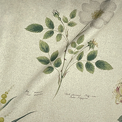 Change Fabric