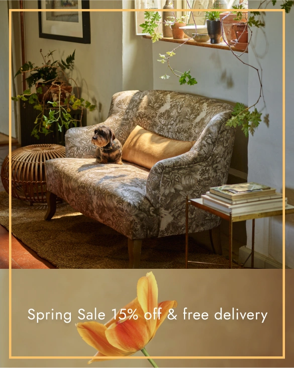 Sofas and Stuff