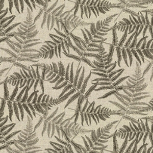 Frond All Over: Bark