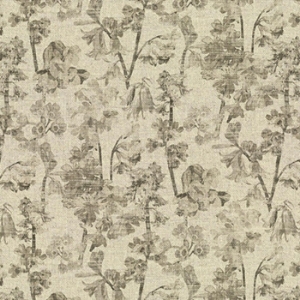 Woodland Flora: Bark