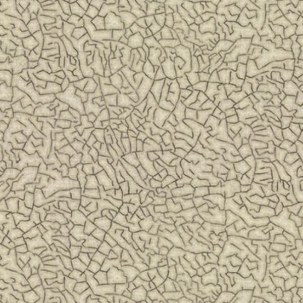 Summer Clay: Bark