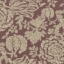 V&A Brompton Collection - Flowering Kale: Cacao