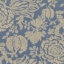 Spill Resistant V&A Flowering Kale: Morning Blue