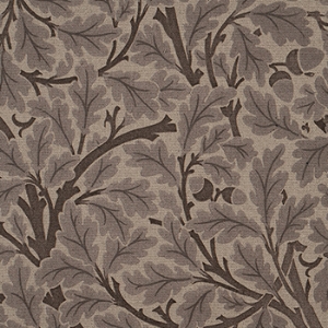 V&A Drawn From Nature - Oak Tree: Brown