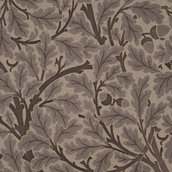 V&A Drawn From Nature - Oak Tree: Brown