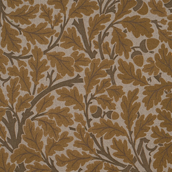 V&A Drawn From Nature - Oak Tree: Gold