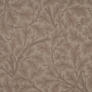 V&A Drawn From Nature - Oak Tree: Natural