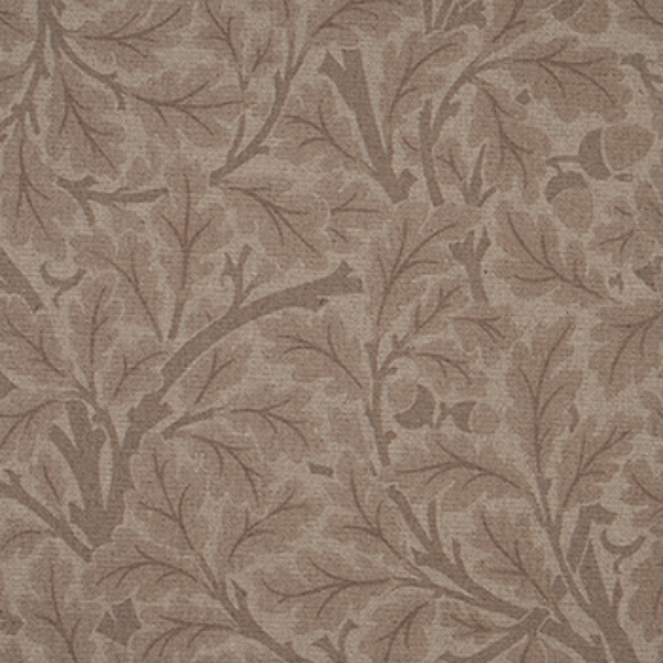 V&A Drawn From Nature - Oak Tree: Natural