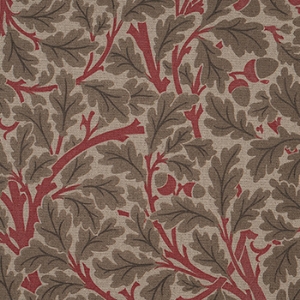 V&A Drawn From Nature - Oak Tree: Red