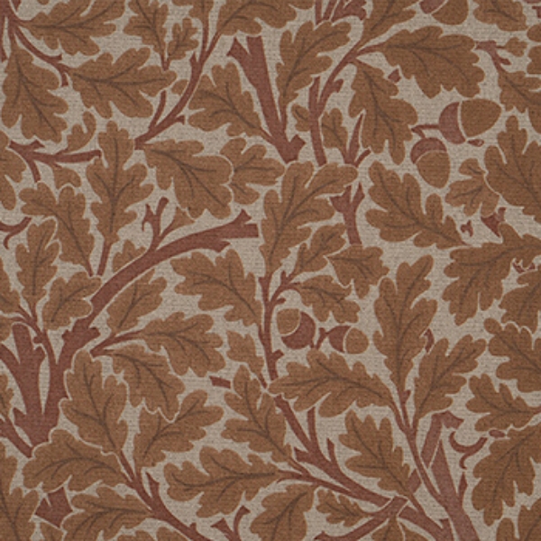 V&A Drawn From Nature - Oak Tree: Terracotta