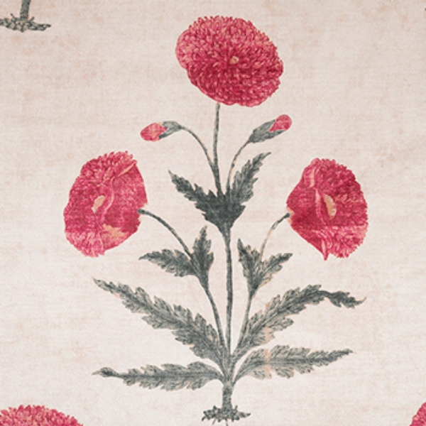 V&A Threads of India Opulent Velvets - Regal Poppy: Chalk