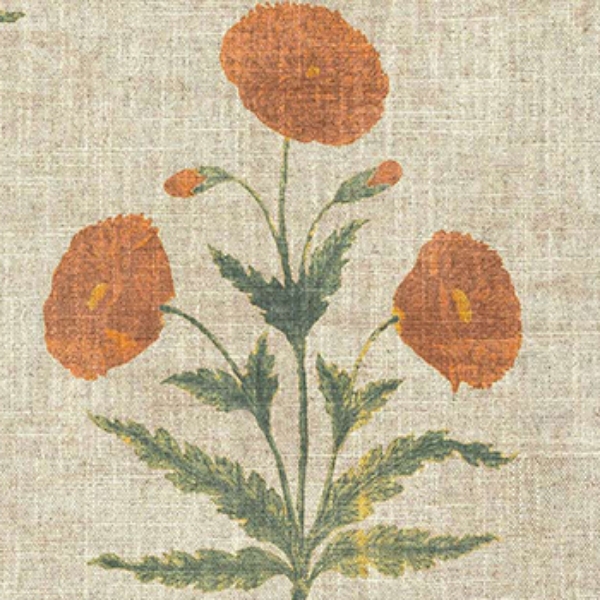 Spill Resistant V&A Regal Poppy: Marigold