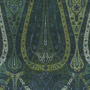 V&A Threads of India Opulent Velvets - Paisley Splendour: Hunter