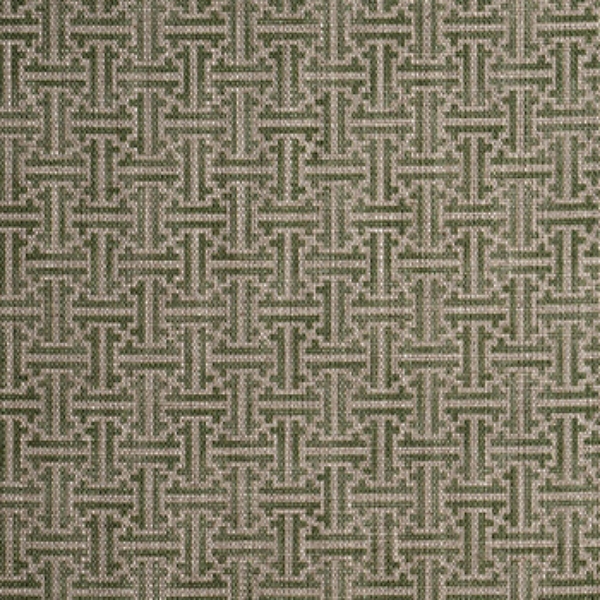 RHS Collection - Gertrude Jekyll Lattice: Olive