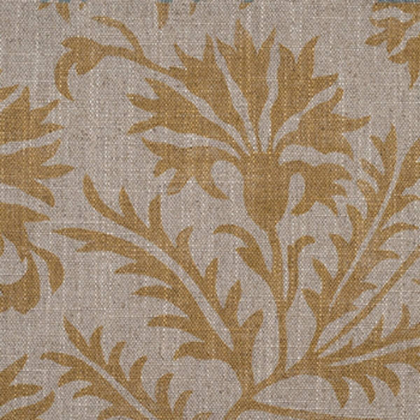 RHS Collection - Gertrude Jekyll Meadow Flower: Gold