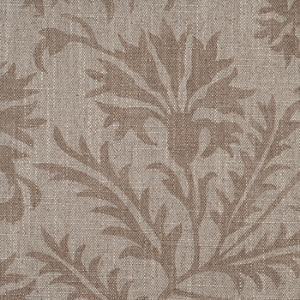 RHS Collection - Gertrude Jekyll Meadow Flower: Natural