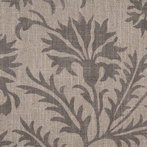 RHS Collection - Gertrude Jekyll Meadow Flower: Brown