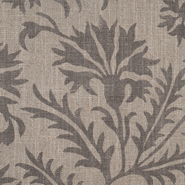 RHS Collection - Gertrude Jekyll Meadow Flower: Brown