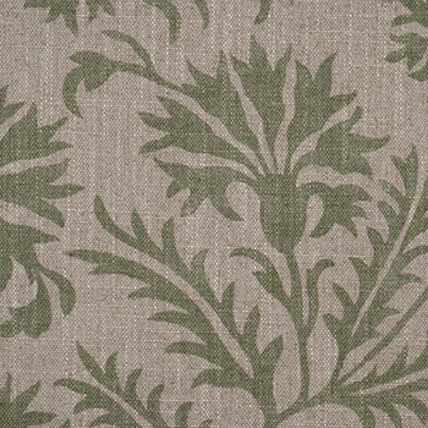 Spill Resistant RHS Gertrude Jekyll Meadow Flower: Olive